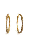 Katie Hoops